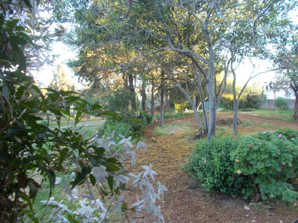 הוילה Santo Estevao  Casa Fonte מראה חיצוני תמונה