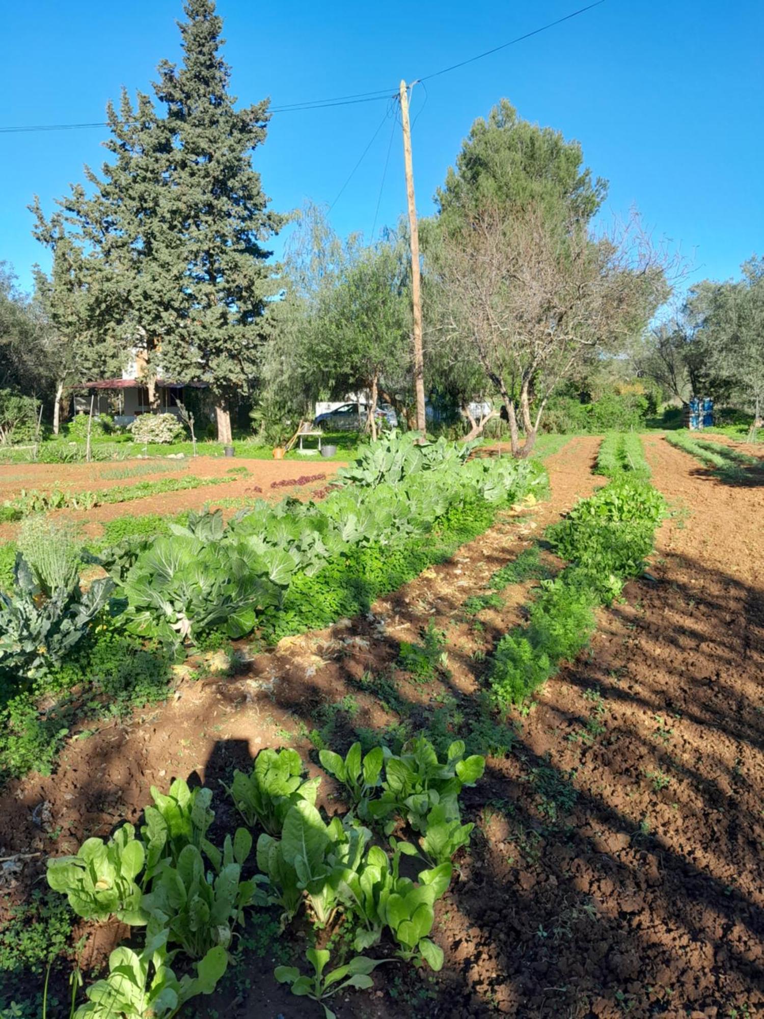 הוילה Santo Estevao  Casa Fonte חדר תמונה